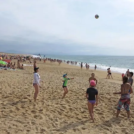 Vacanceole - L'allee Des Dunes -