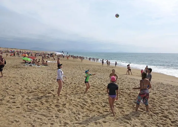 Vacanceole - L'allee Des Dunes -